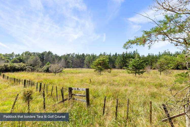 347a Black Swamp Road Mangawhai_29