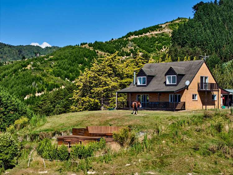 46 Eucalyptus Way Paraparaumu_25