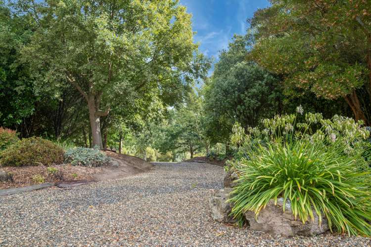 315 River Road Gore Surrounds_26