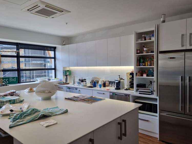 9 Francis Place Te Aro_3