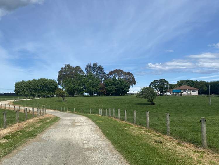 491 Waituna Gorge Road Wyndham Surrounds_15