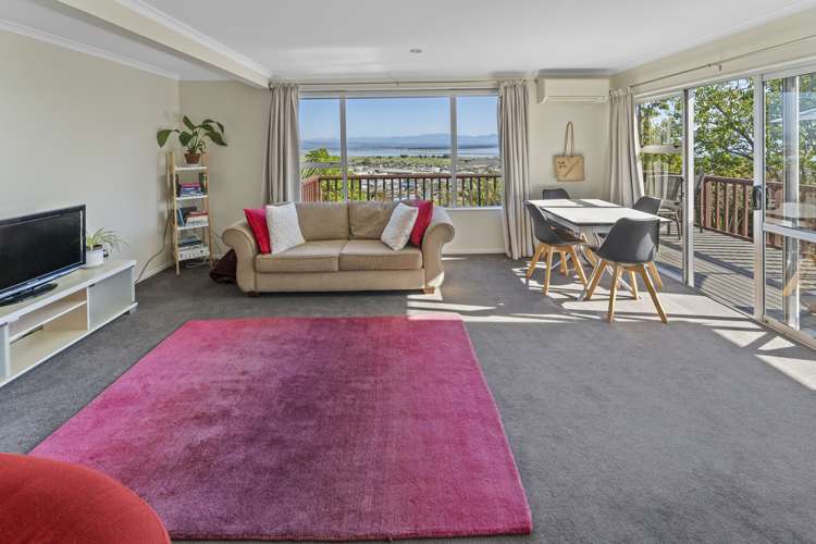 3/27 Chamberlain Street Tahunanui_16