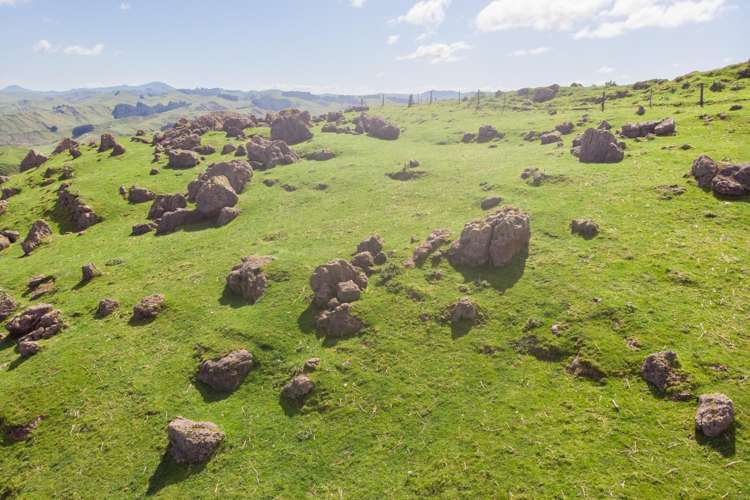 1921 Weber Road Dannevirke_42