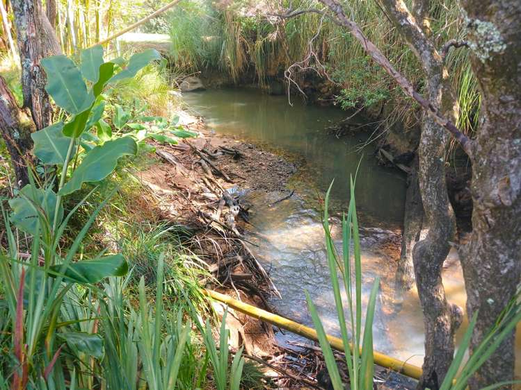 29 Paradise Road Coopers Beach_25