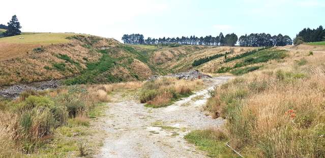 Sunflower Road Balclutha_1