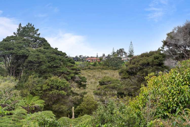 153d Colwill Road Massey_17