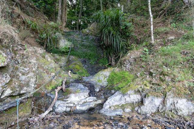 229 Hupara Road Pakaraka_3