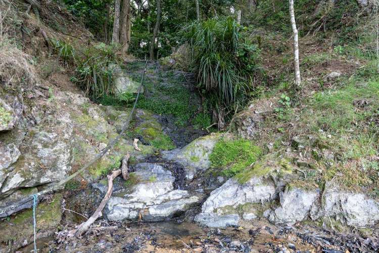 229 Hupara Road Pakaraka_3