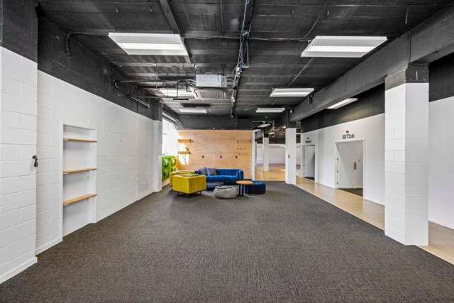 37-39 Crummer Road Grey Lynn_1