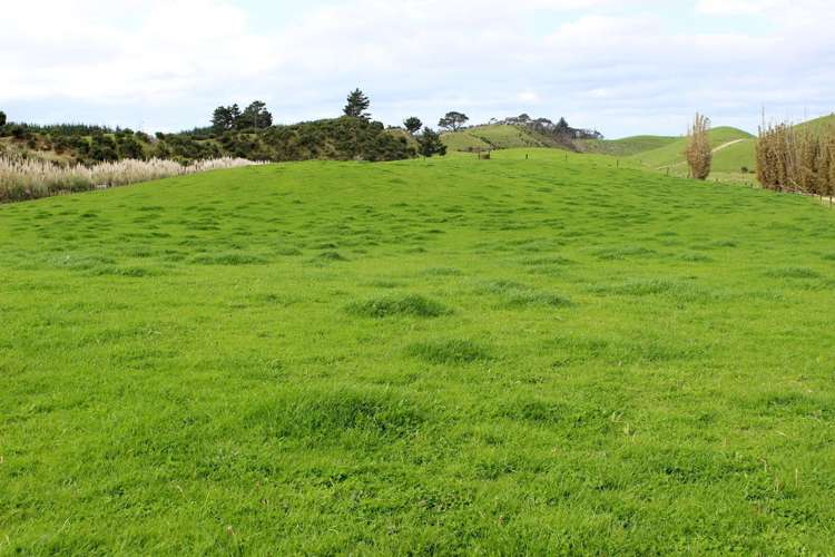 187 Katavich Road Awanui_4