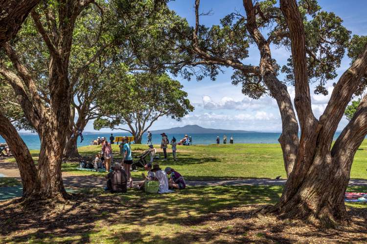 113/19 Bute Road Browns Bay_12