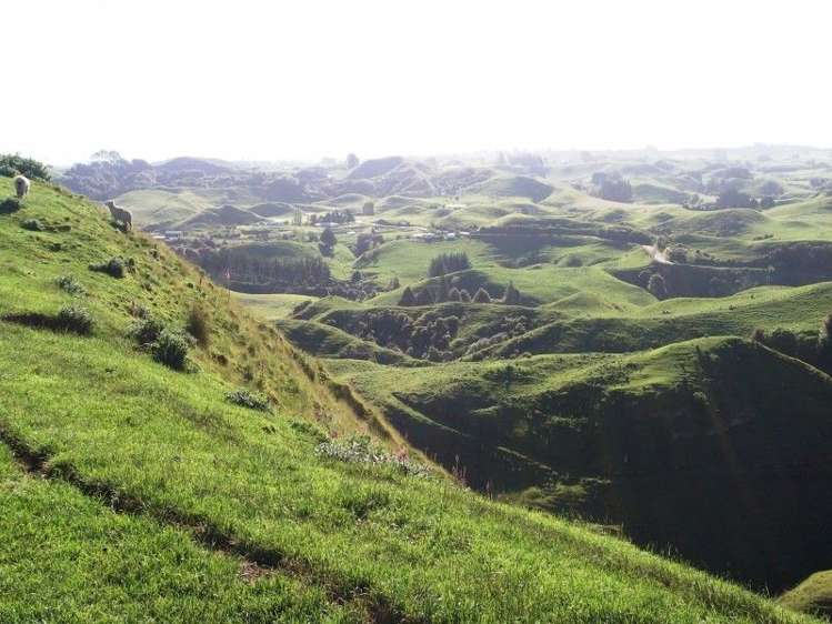 446 Stanley Road Te Popo_55