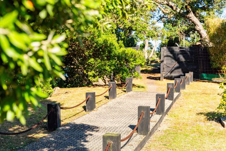9 Citrus Place Mangawhai_24