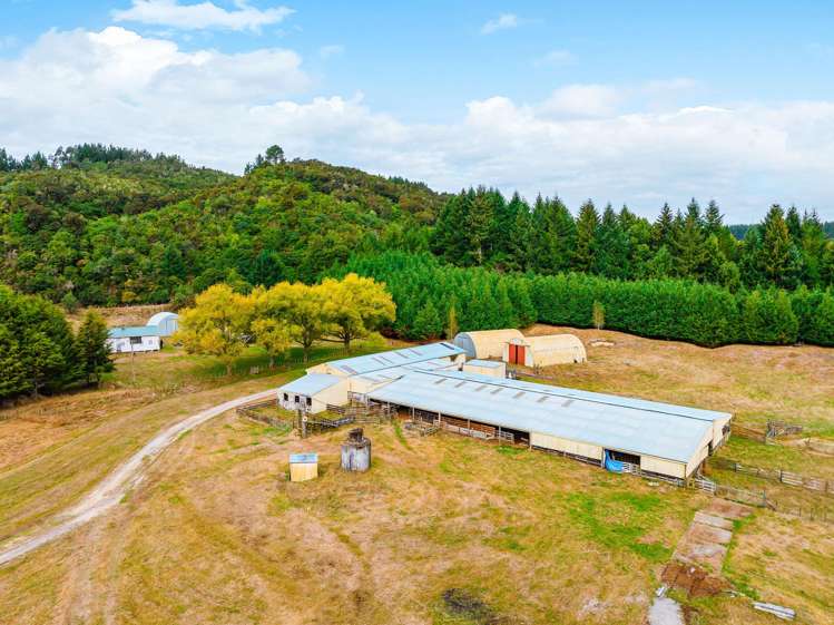 336 Puketapu Road Marotiri_13
