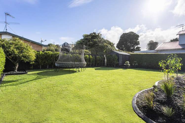 25 Alexis Avenue Mount Albert_5