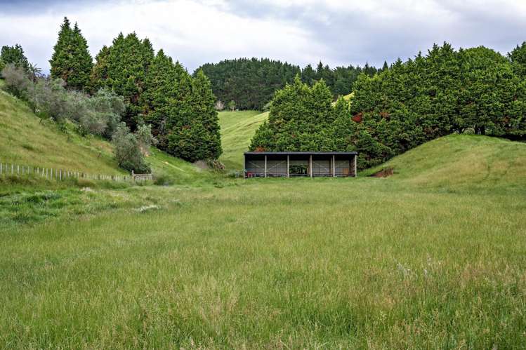 70B and C Withy Road Manawahe_6