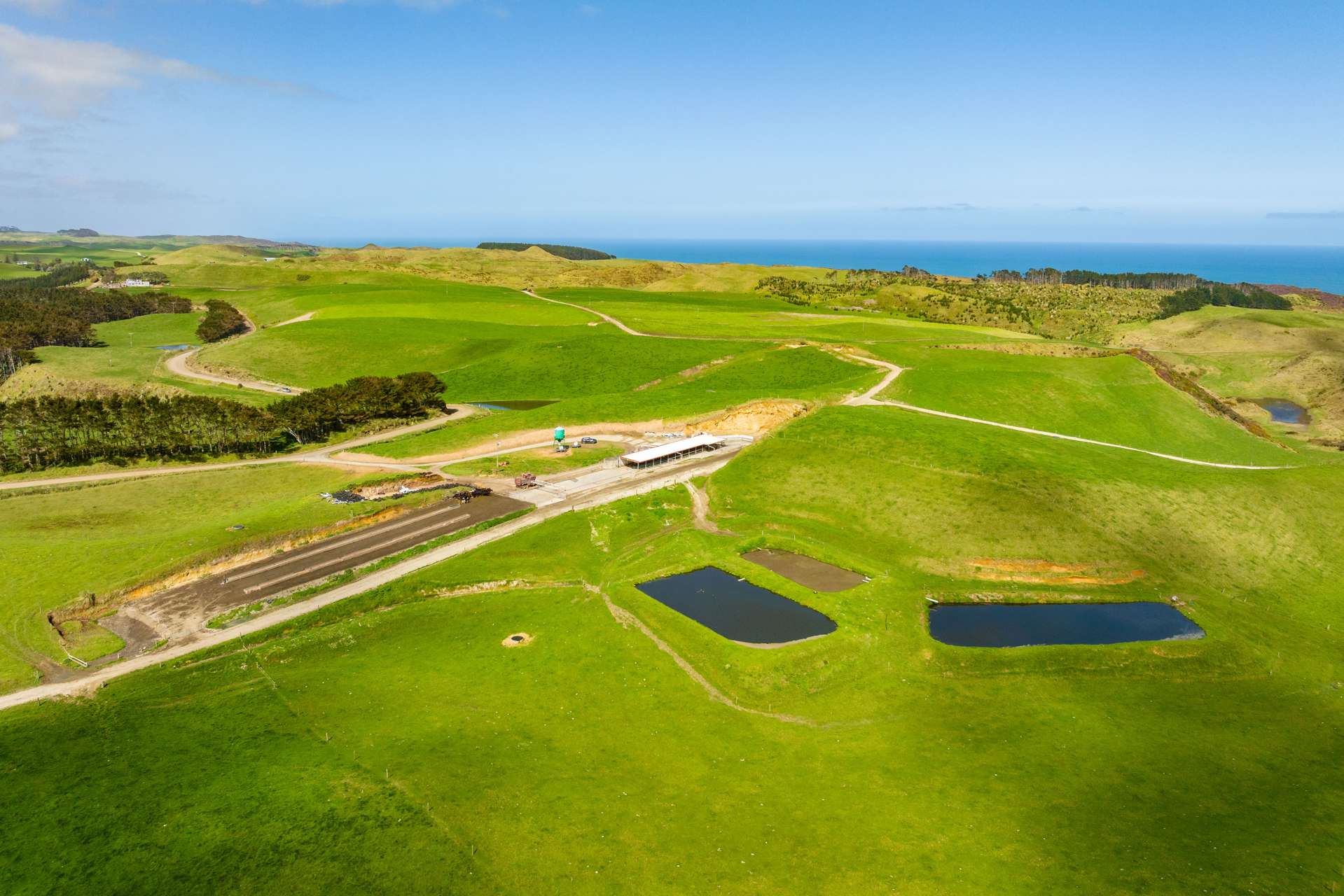 780 Te Maire Road Te Kopuru Kaipara Rural Property For Sale One