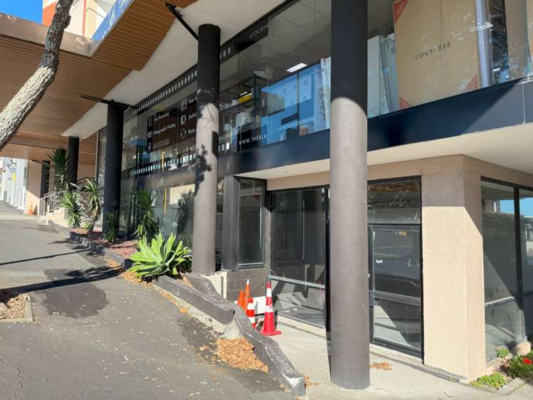 127 Newton Road Eden Terrace_7