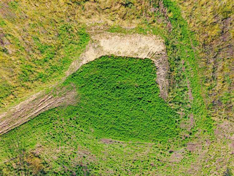 Kopaki Bay Road Puketapu_5