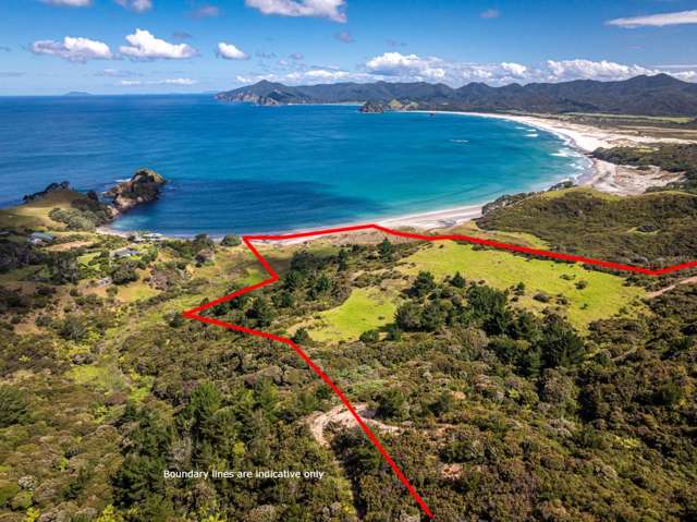 10 Hectares with immediate access to Palmers Beach