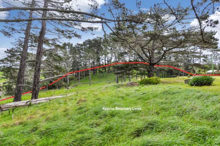 1501 East Coast Road Redvale_13