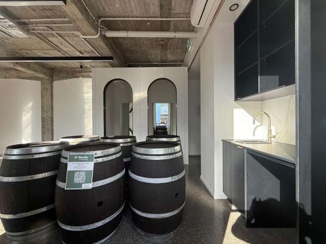 201-209 Queen Street East Hastings Central_4