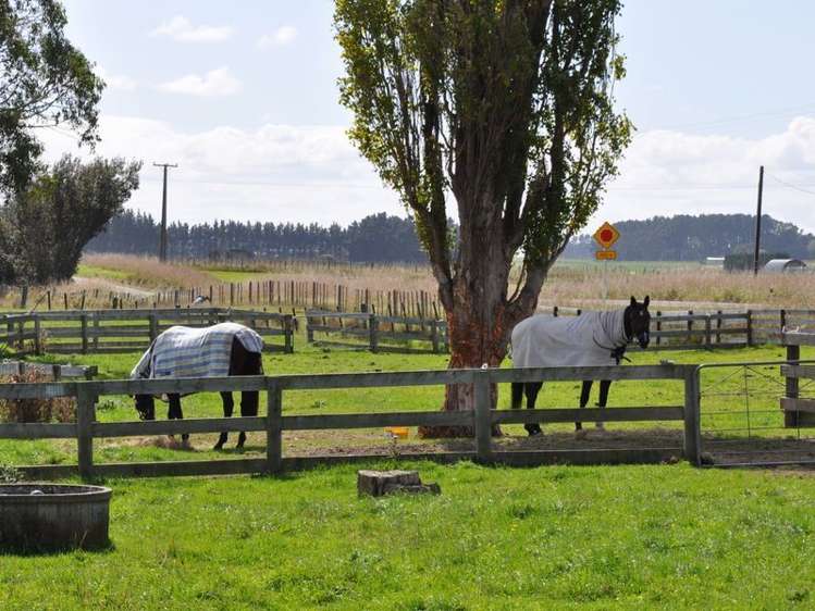 260 Waitohi Road Rongotea_7