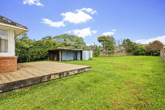 3 Kahu Road Panmure_3