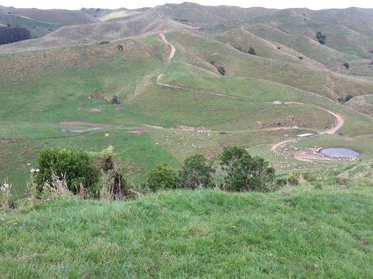 446 Stanley Road Te Popo_10