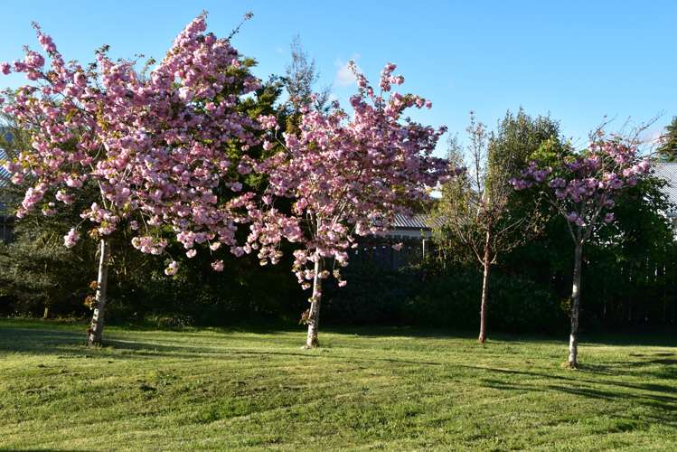 23 Burnett Street Oxford_19