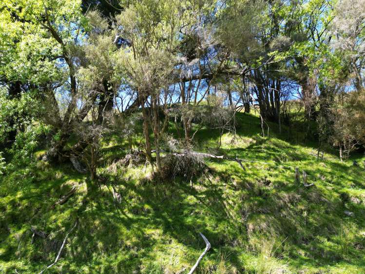 White Rock Road Martinborough_5