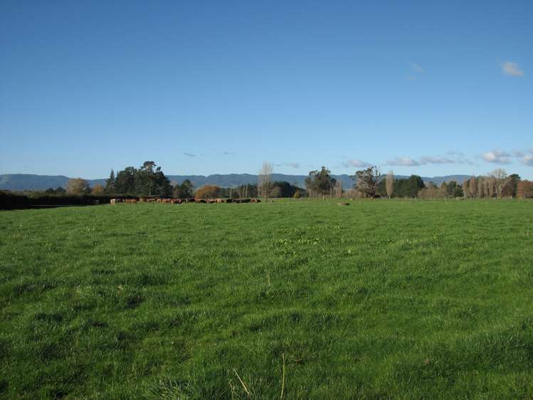 240 Bayly Road South Waikato_11