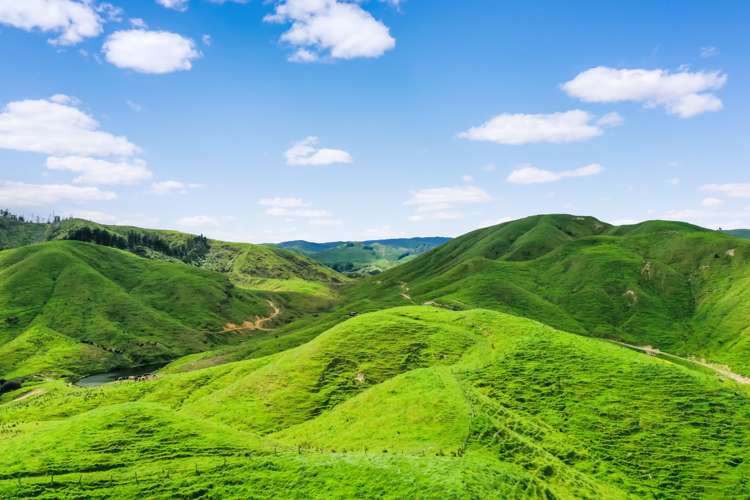 Thompsons Road Pahiatua_13