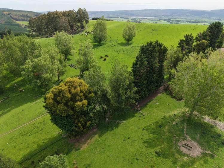 66 Otokia-Kuri Bush Road West Henley_45