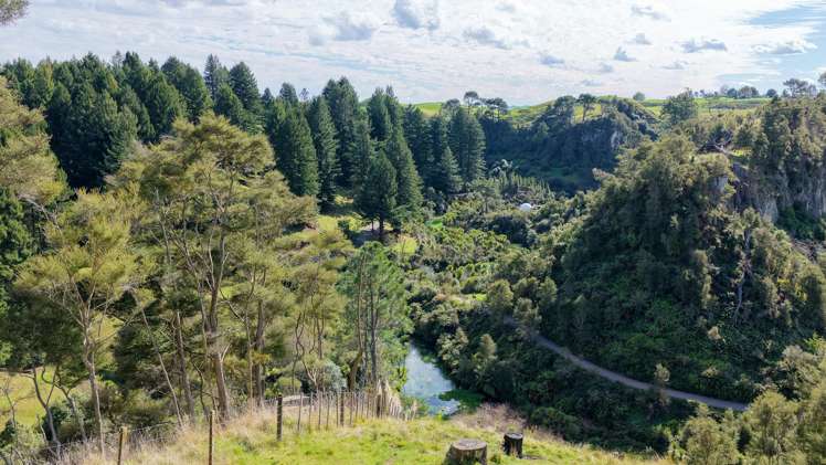 Leslie Road Putaruru_5