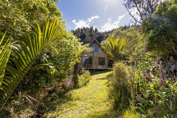 Little Nikau Bay Kenepuru Sound_21