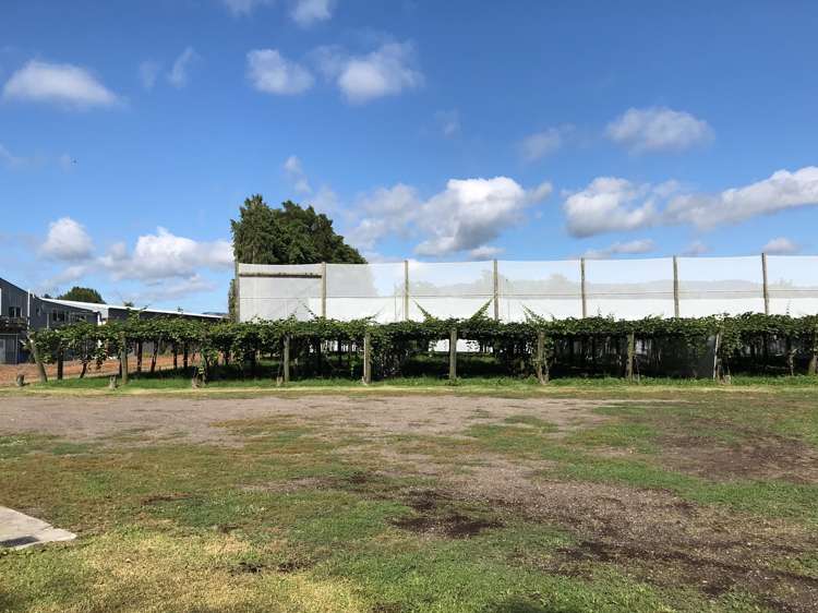 62 No 2 Road Te Puke_0