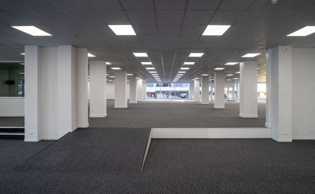 Ground/93 Dominion Road Mount Eden_2