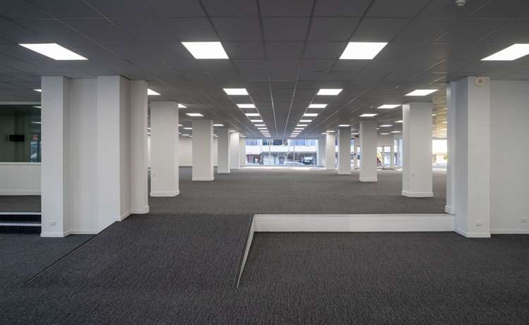 Ground/93 Dominion Road Mount Eden_1