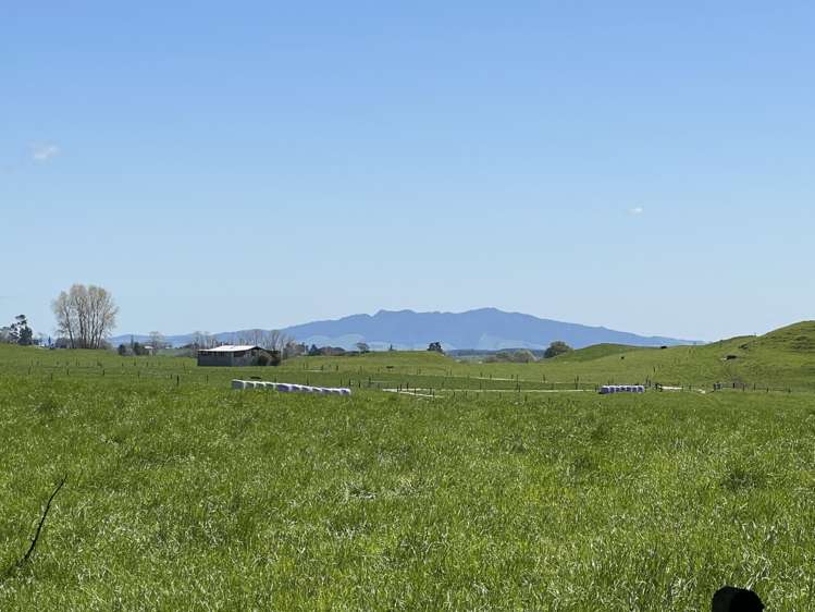 133 Newell Road Kinleith_2