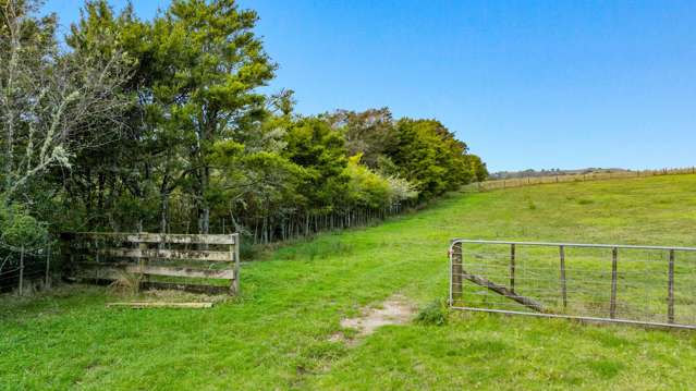 704 Whangaripo Valley Road Whangaripo_1