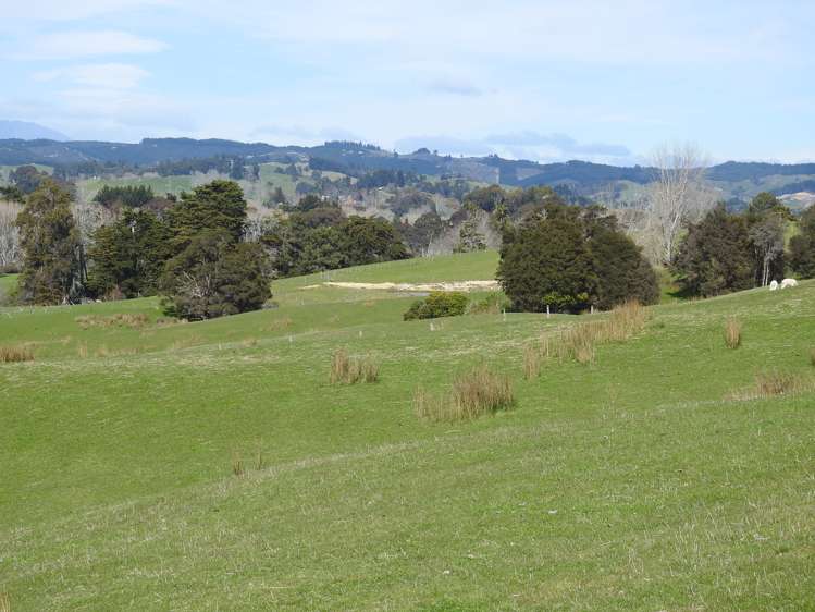 146 Old House Road Upper Moutere_2