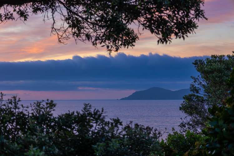 1 Rosetta Road Raumati South_5