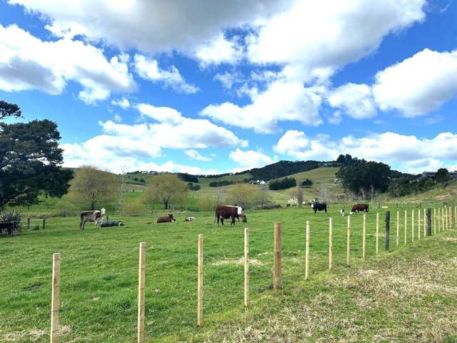 Puketona Road Paihia_2