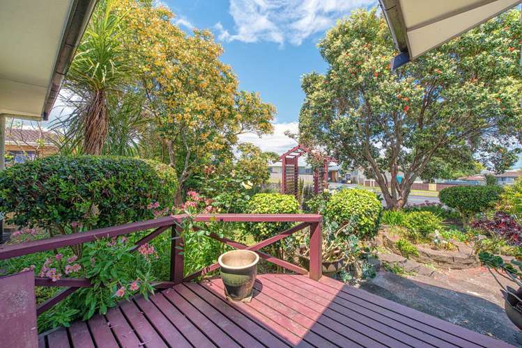 39 Barneys Farm Road Clendon Park_9