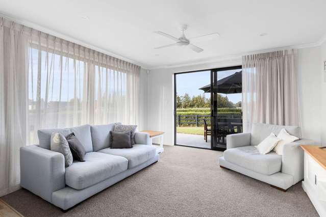 11 Millpark Lane Matangi_2