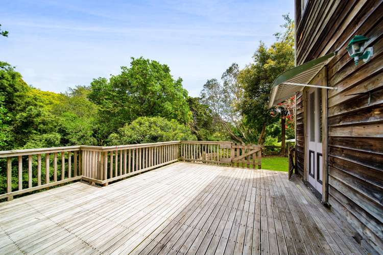 44 Carrington Street Lower Vogeltown_11