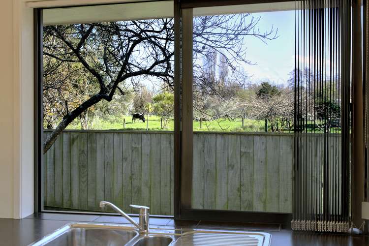 85b Oxford Street Masterton_5