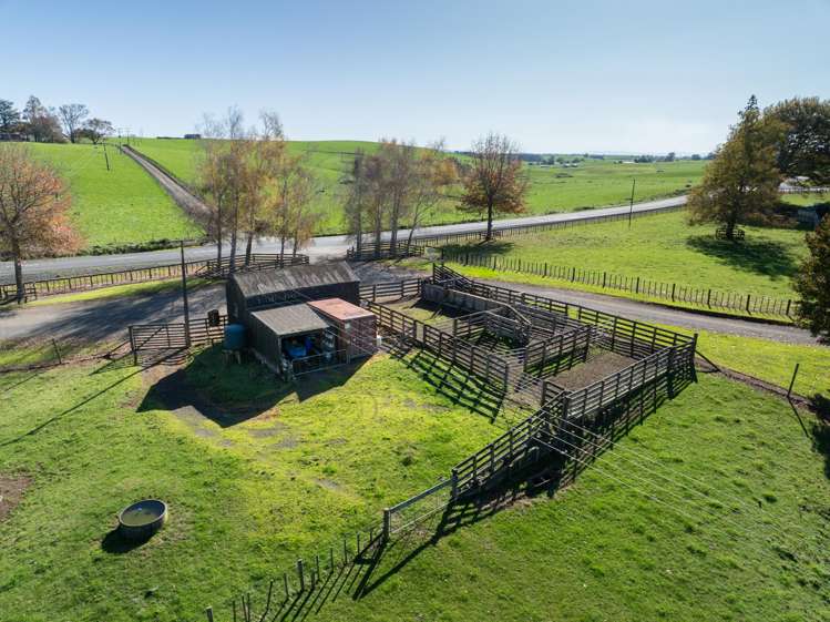 24 Waterworks Road Morrinsville_30