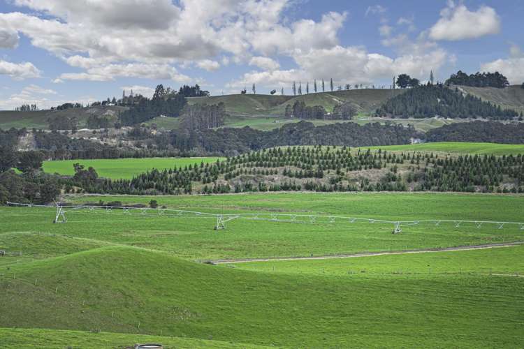 500 Willowford Road Waiwhare_33